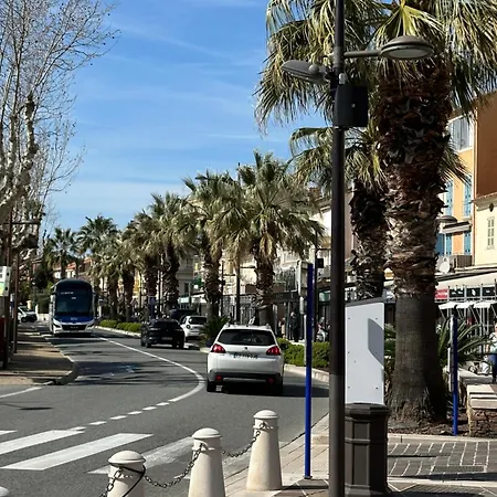 Les Palmiers Maxime